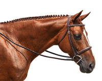 Toulouse Hunter/Jumper/Event Bridles-CLEARANCE