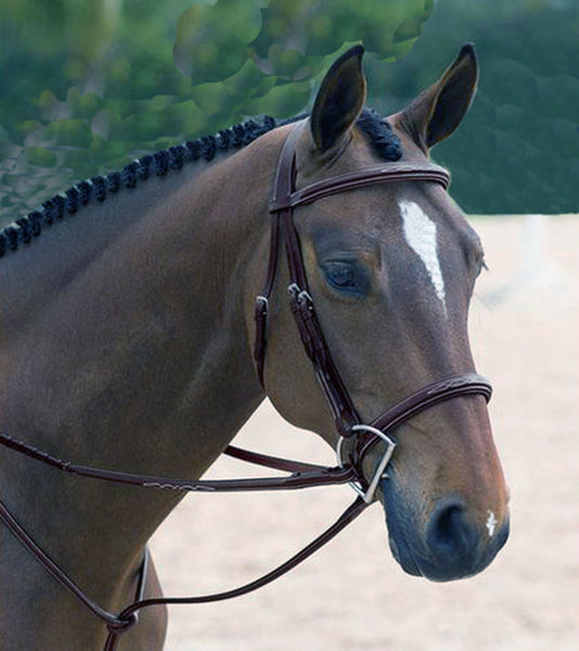 Classic Hunter Bridle-CLEARANCE