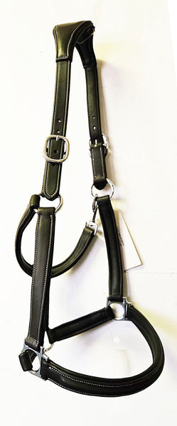 Royal Heritage Sample Leather Halters - CLEARANCE