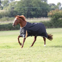 Shires Highlander Plus Medium Weight (200g) Blanket