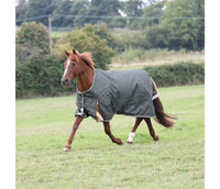 Shires Highlander Plus Light Turnout Sheet no fill