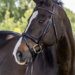 Vespucci Plain Raised Dressage Snaffle