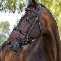 Vespucci Double Raised Snaffle Bridle