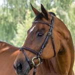 Vespucci Fancy Raised Jumper Bridle