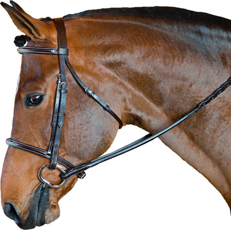 M. Toulouse Standard Hunter Bridle