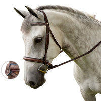 M. Toulouse Liza Hunter Derby Bridle