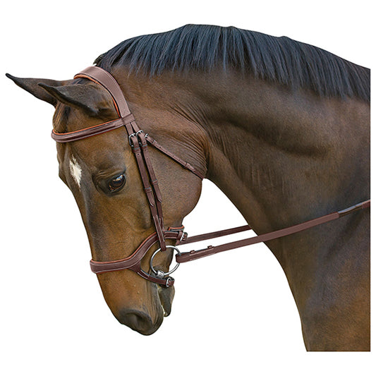 M. Toulouse Hybrid Hunter-Jumper Bridle