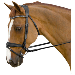 M. Toulouse Rythmical Dressage Bridle