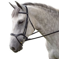 M. Toulouse Hybrid Dressage Bridle