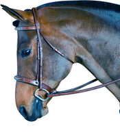 M. Toulouse Platinum Devon Bridle