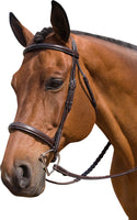 M. Toulouse Liza Bridle