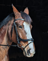 Curved Caveson Bridle