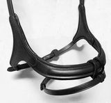 Curved Caveson Bridle