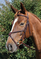 Voyager (By Vespucci) Plain Raised Figure 8 Bridle - CLEARANCE